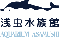 浅虫水族館 AQUARIUM ASAMUSHI