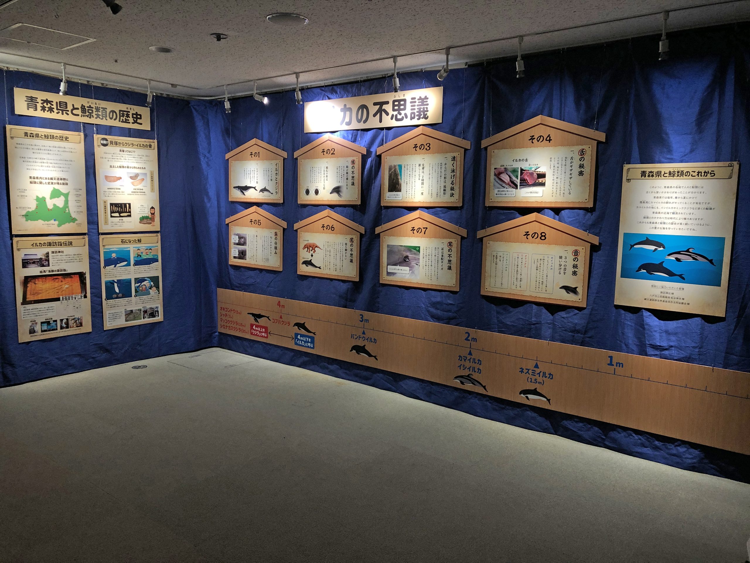 企画展「青森県と鯨類の歴史展」