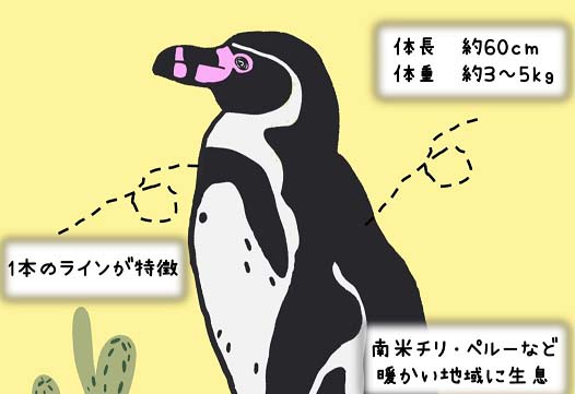 ペンギン展＆ペタペタペンギン開催のお知らせ