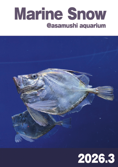 機関誌画像