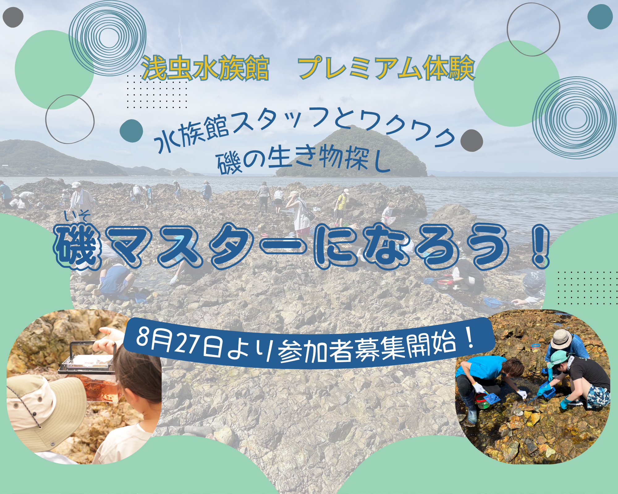 浅虫水族館プレミアム体験「磯マスターになろう！～水族館スタッフとわくわく磯の生き物探し～」開催のお知らせ