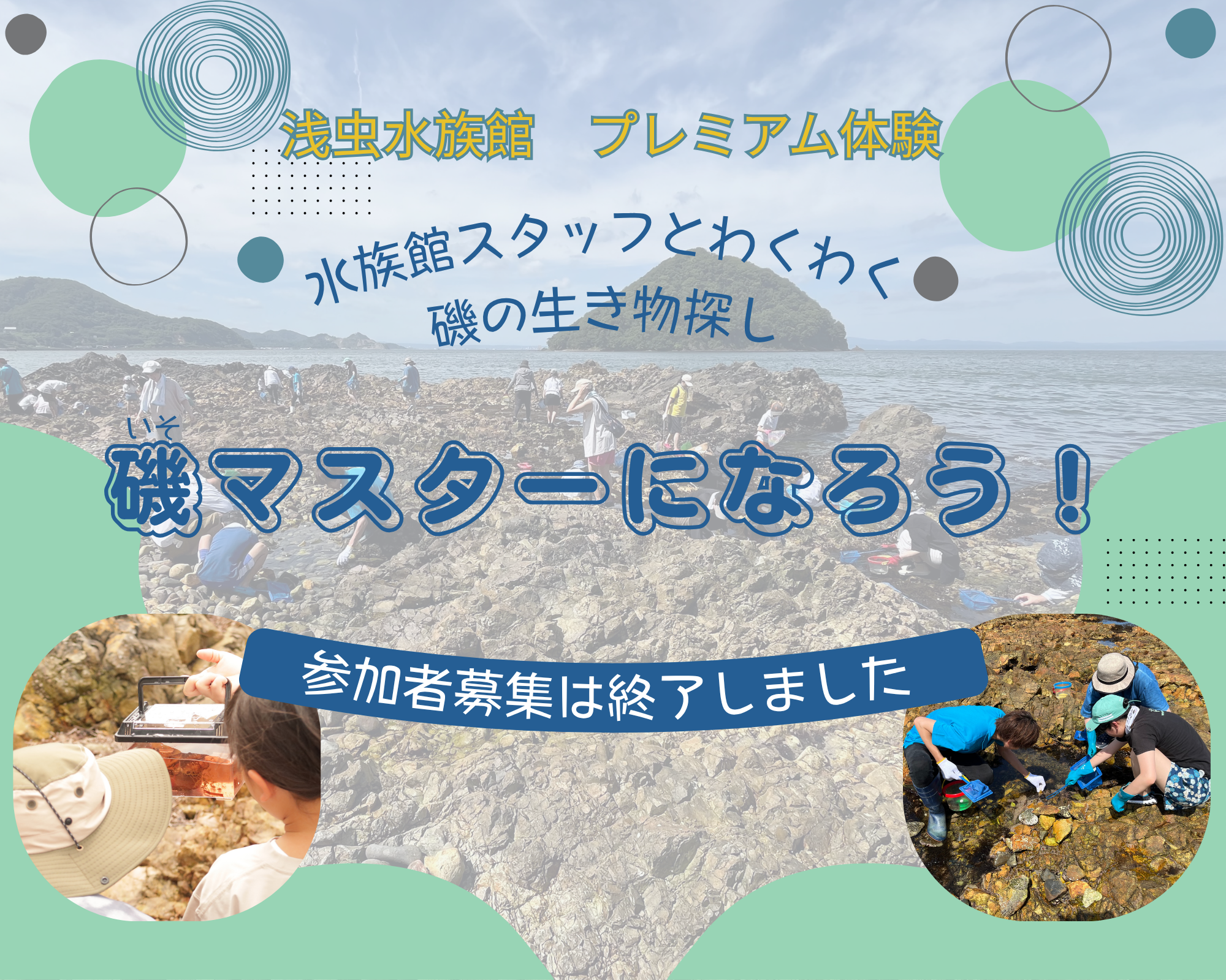 浅虫水族館プレミアム体験「磯マスターになろう！～水族館スタッフとわくわく磯の生き物探し～」開催のお知らせ